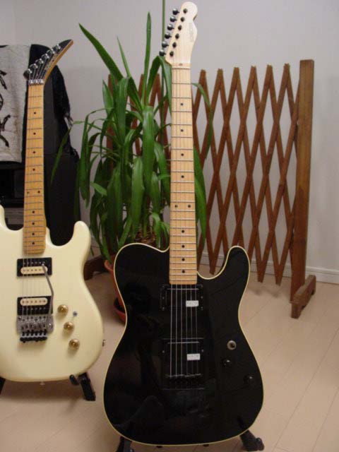 Schecter Pete Townshend Telecaster